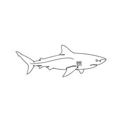 Fototapeta premium Vector line art of a shark in side profile, continuous one line minimal drawing of marine predator fish illustration