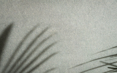 Shadow of palm leaf on textured gray wall.