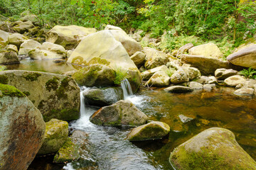 Klares Wasser stürzt im Okertal über moosbewachsene Felsen, eingerahmt von dichtem Grün – ein...