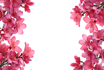 Beautiful pink flowers isolated on transparent background, creating a delicate and romantic frame for wedding invitations and spring designs