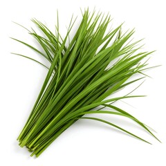 Fototapeta premium Fresh green grass bunch isolated