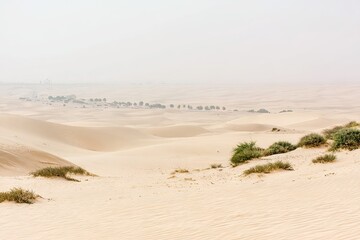 Vast desert landscape, pale sand dunes, scattered scrub, hazy sky