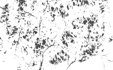 Abstract background. Monochrome texture. Image includes a effect the black and white tones.Rustic grunge texture with grain and stains Abstract noise background Weathered surface