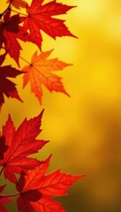 Fototapeta premium Crisp, red and gold autumn leaves against a sunny yellow background , maple, september, light
