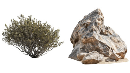 Desert Collection of Dry Plants and Rocks Isolated on Transparent Background
