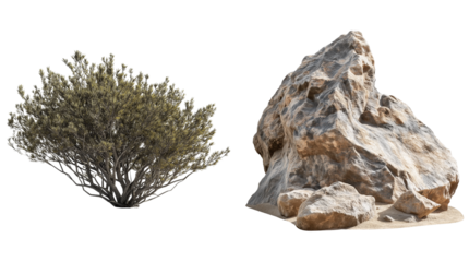 Desert Collection of Dry Plants and Rocks Isolated on Transparent Background