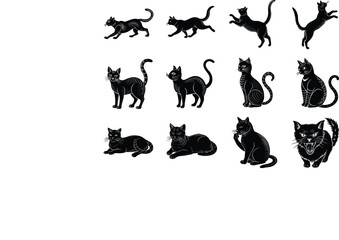 Cat Movement Silhouette Bundle | 12 Unique Cat Poses Set for Cat Lovers, Pets, Animals, SVG PNG EPS
