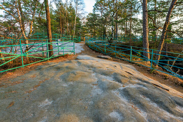 Scenic viewpoint with trees and stone pathway at sunset