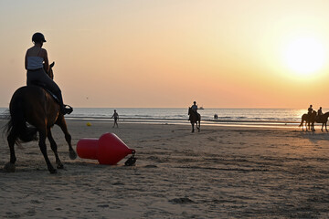Pferd springt über eine rote Boje am Strand von De Haan Belgien bei Sonnenuntergang