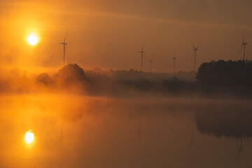 Sunrise over the lake. Sunny June morning.
