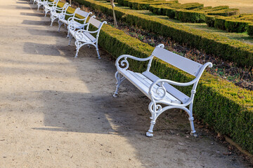 White benches in sunlit park with trimmed hedges and gravel pathway