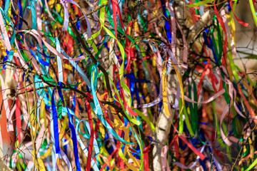 Colorful ribbons decorating a tree branch outdoors in a festive celebration