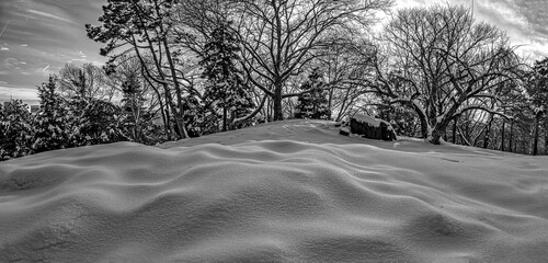 Central Park in winter after snow storm