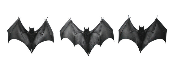 Naklejka premium Three Detailed Black Bats Against A Transparent Background