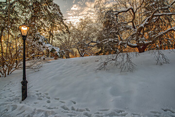 Central Park in winter after snow storm