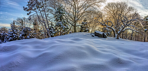 Central Park in winter after snow storm