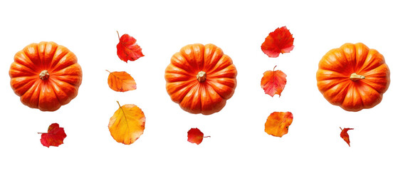 Autumnal Arrangement of Pumpkins with Vibrant Orange and Yellow Leaves on a Transparent Background