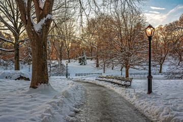 Central Park in winter after snow storm