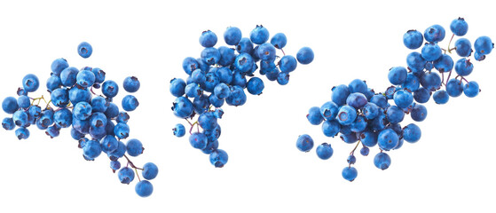 Fototapeta premium Three Bunches Of Ripe Blueberries Isolated On Transparent Background