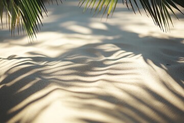 Soft beach sand creates gentle patterns under palm fronds on a sunny day