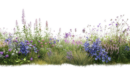 A border of purple and blue wildflowers isolated on transparent background