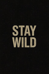 Text "Stay Wild" on Dark Starry Background