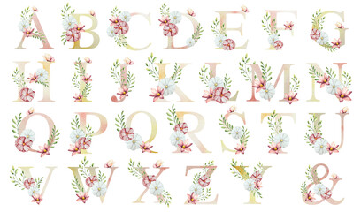 Watercolor letters, alphabet with floral ornament and soft foliage, gerbera, chamomile, echinacea. Delicate hand drawn, butterfly and botanical elements in elegant.Transparent PNG, perfect for wedding