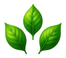 Obraz premium Three green eco leaf icons arranged symmetrically.