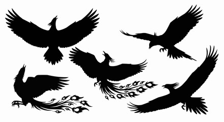 Obraz premium Phoenix Silhouette Vector Set on White Background – Mythical Bird, Firebird, Rising Phoenix, Fantasy Winged Creature Black Solid Shapes for Design and Decoration