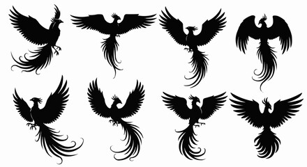 Obraz premium Phoenix Silhouette Vector Set on White Background – Mythical Bird, Firebird, Rising Phoenix, Fantasy Winged Creature Black Solid Shapes for Design and Decoration