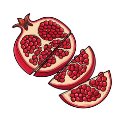A detailed illustration of a sliced pomegranate, showcasing its vibrant red arils and juicy texture.