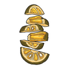 A vibrant illustration showcasing several cross-sections of a ripe jackfruit, revealing its distinctive yellow flesh and fibrous texture.