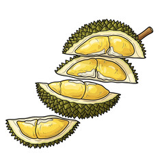 Four sections of a durian fruit, showing its yellow pulp and spiky green skin.