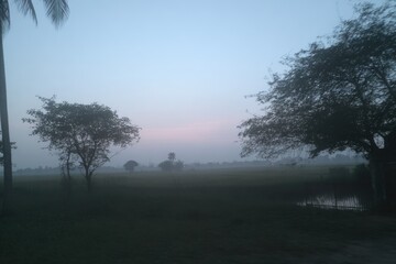 Misty rural landscape at dawn