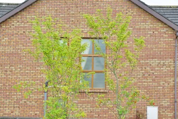 A red brick house and gable, taken in Ireland.