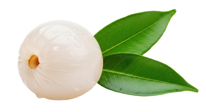 Isolated peeled lychee with leaves