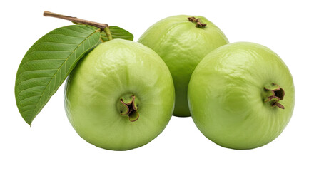 Isolated Guava Fruits