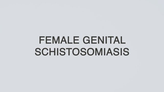 Female genital schistosomiasis word diagnosed with a stethoscope held in hand on a white background, illustrating parasitic infection, medical evaluation, healthcare concept, and awareness