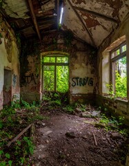 Decayed interior room with vibrant green vegetation