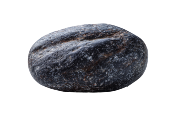 Close-up of a dark gray, oval-shaped stone.  Its surface shows uneven, textured marks