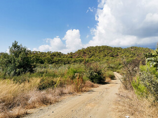 Phaselis Ancient City in Turkey. Scenic dirt road surrounded by lush greenery, leading to the historic Phaselis Ancient City, showcasing natural beauty and rich history