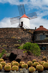 Lanzarote, Canary Islands: windmill and succulents at Jardin de Cactus, botanical garden designed by local artist Cesar Manrique in Guatiza, home to over 1.400 species of cactus from around the world 