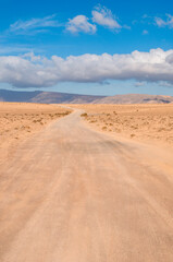 Fuerteventura, Canary Islands, Spain: desert landscape seen from the dirt road to the beaches of the northwestern coast of the island, path starting from the village of El Cotillo on west coast