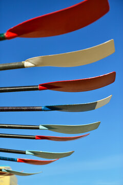 Row of colourful oars and blue sky