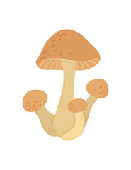 Honey mushrooms vector print. Cute illustration armillaria mellea   isolated on white background.