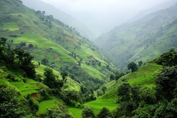 Lush green valleys carved by misty mountains