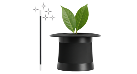 Isolated Magic Hat with Leaves