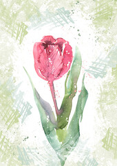 Creative pink tulip, spring summer illustration, gift card for a woman, mom. Creative postcard design with flowers on a textured green background.