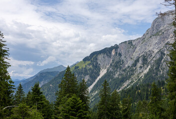 Scenic alpine mountain view with dramatic cliffs, green pine trees and cloudy sky