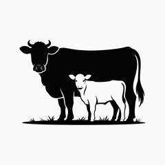 black and white cow